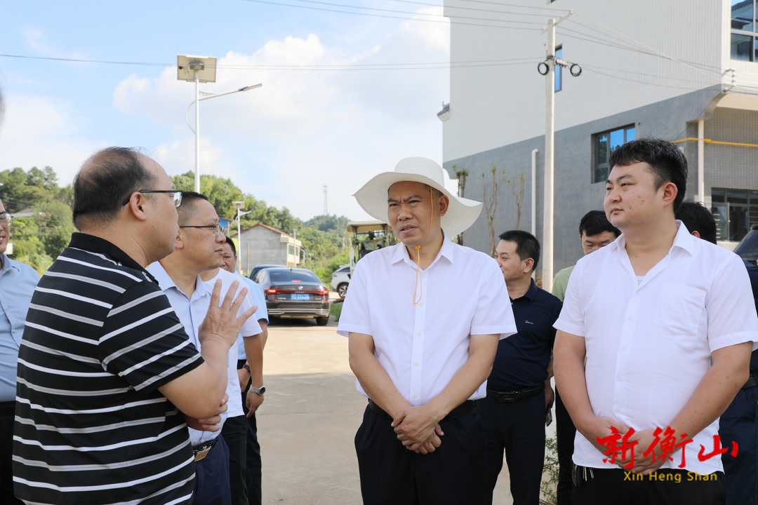段晓赛调研全县污水处理项目建设及运营情况
