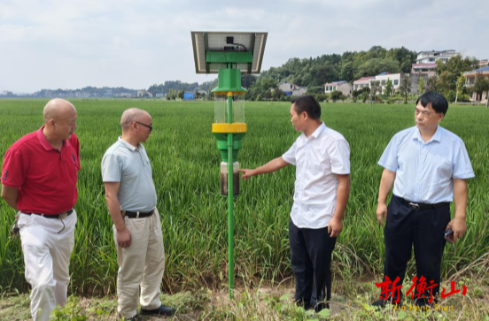 衡山：强化病虫害绿色防控 保障粮食生产安全