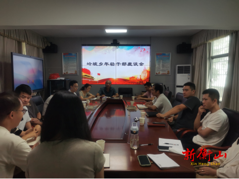 以梦为马 不负韶华——岭坡乡召开年轻干部座谈会