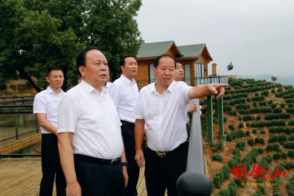 周农调研我县乡村振兴和工业发展