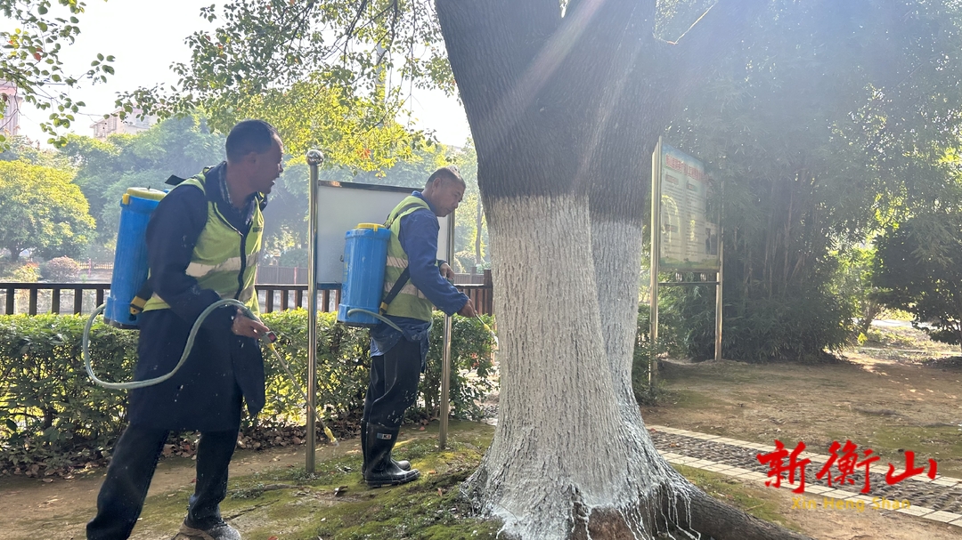 【文明衡山在行动】  县园林绿化所：为城区5万余株树木刷白“换冬装”
