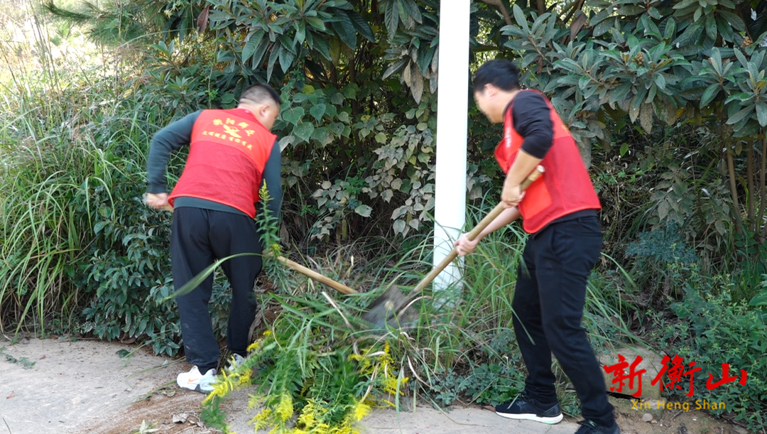 筑牢生态安全屏障  县开云新区事务中心开展清除“加拿大一枝黄花”行动