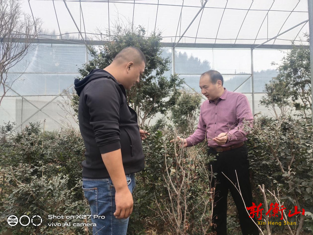 衡山：科技特派员为乡村振兴赋能添智