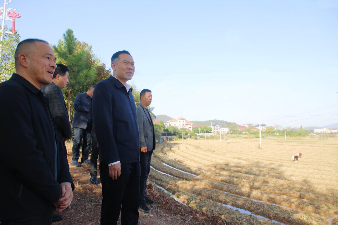 段晓赛赴永和乡、萱洲镇调度当前重点工作和特色工作