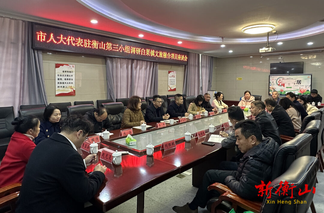 市人大代表驻衡山第三小组赴白果镇调研文化旅游融合项目
