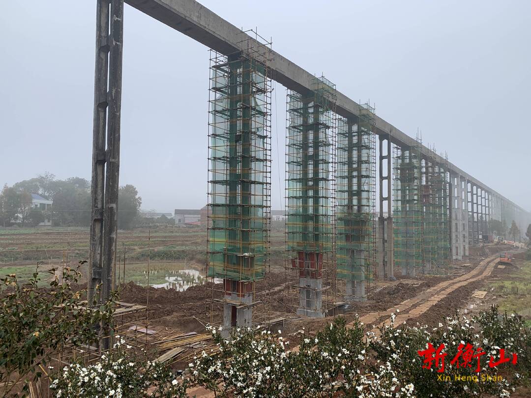 九观桥中型灌区续建配套与节水改造项目有序推进