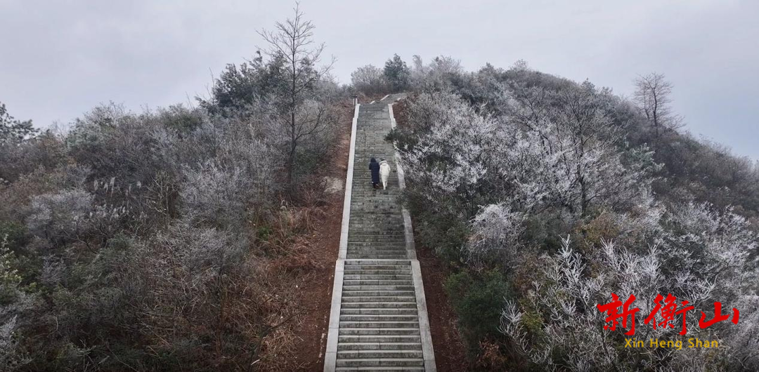 衡山：雾凇初染勾头峰，“绽放”冬日的浪漫