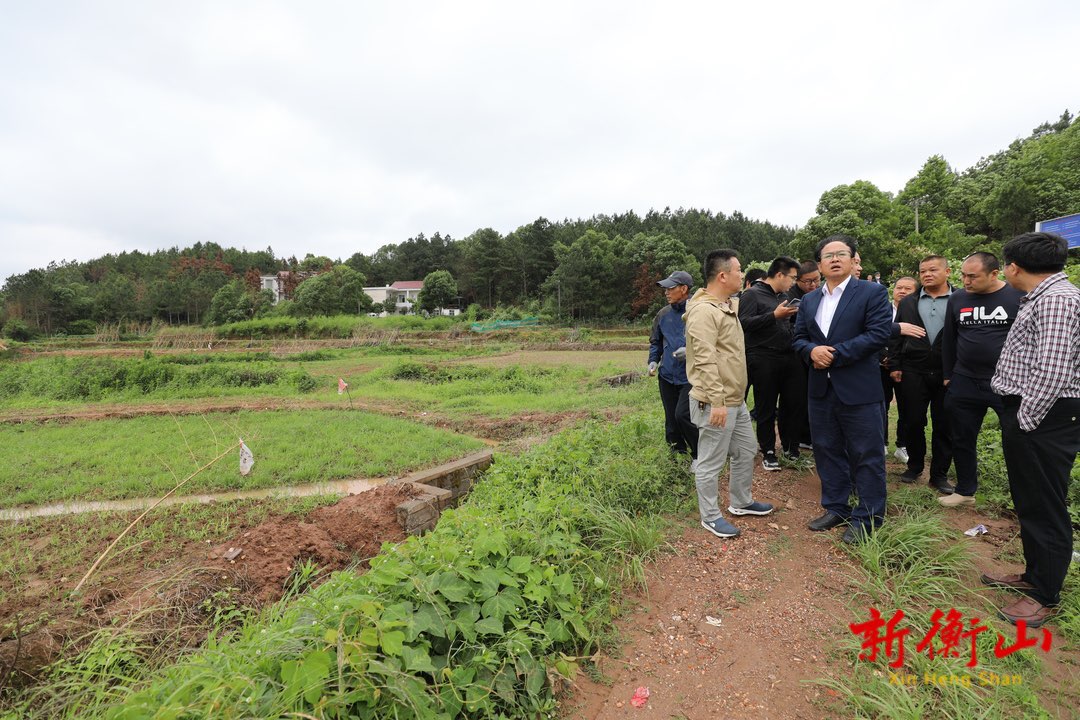 衡山县2023年度高标准农田建设项目接受市级评审