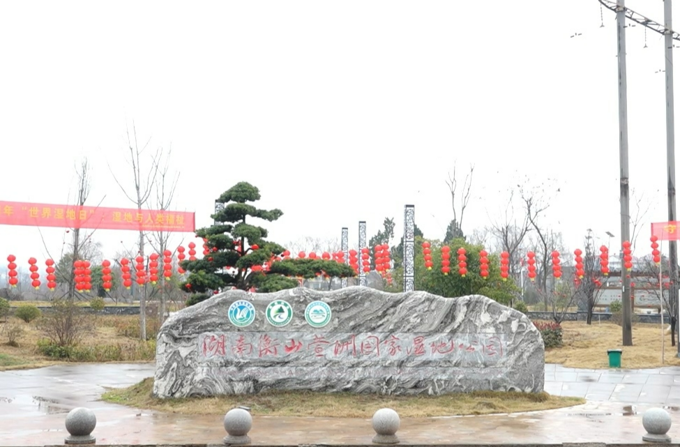 新春走基层丨衡山县萱洲镇：喜气洋洋挂灯笼 红红火火迎新春