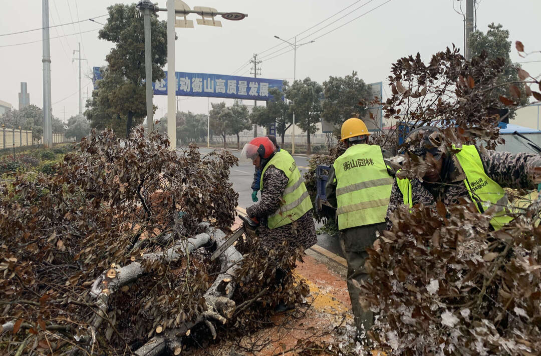 新春走基层 | 园林绿化所：做好园林绿化维护，保障市民平安出行