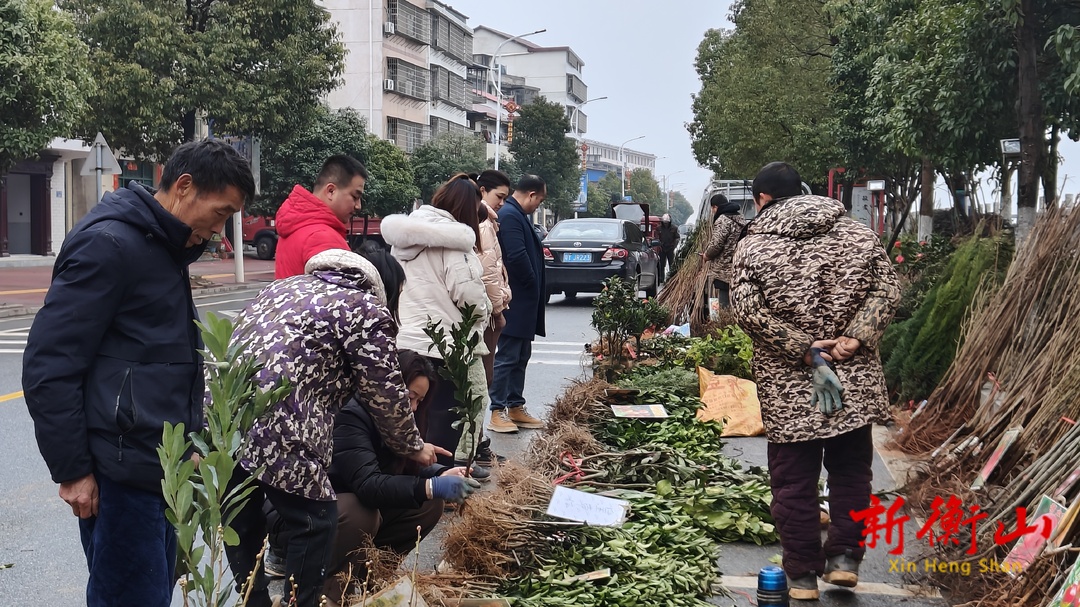 衡山：春种好时节 苗木市场销售旺