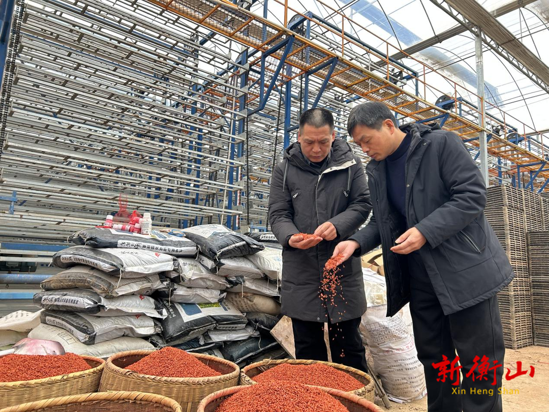 衡山县：早稻育秧正当时 农技专家助力丰收