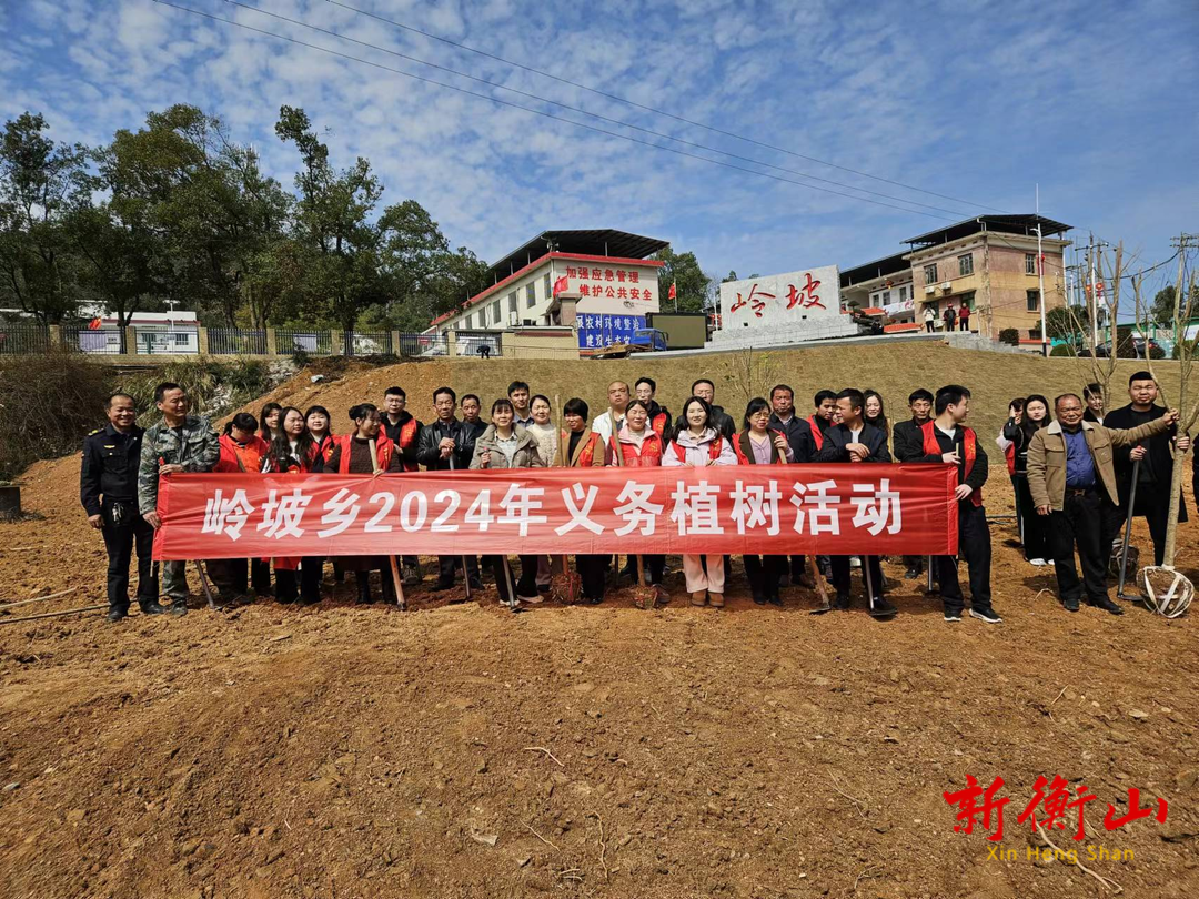 春风吹新绿，植树正当时——岭坡乡开展植树节活动