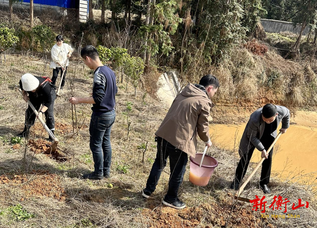 衡山县民政局组织开展义务植树活动