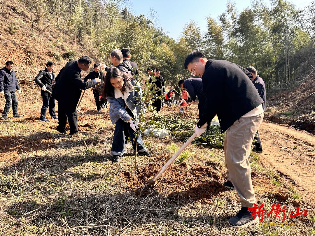 开云镇开展春季义务植树活动