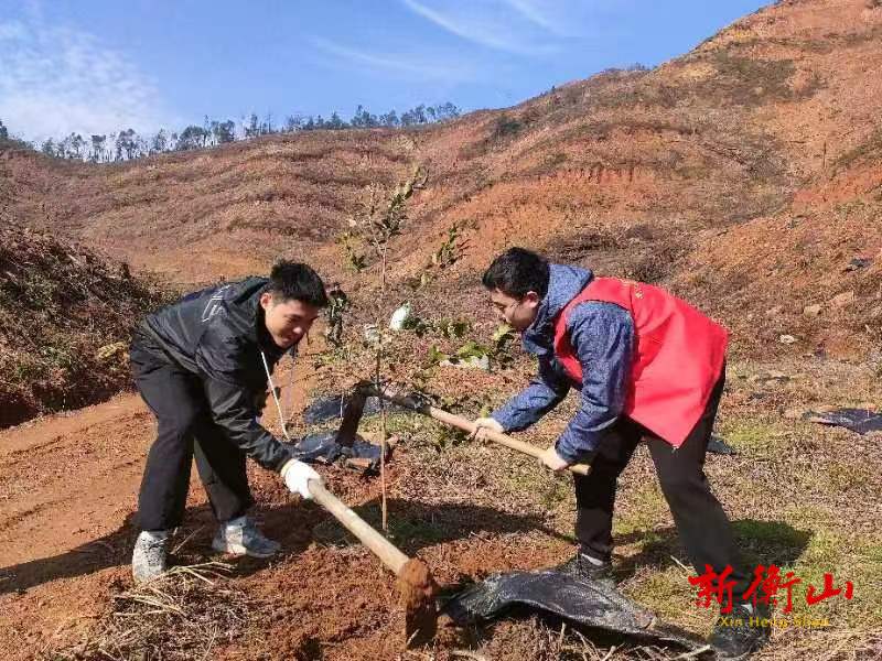 春风十里，“植”因有你丨开云镇组织开展机关支部主题党日活动