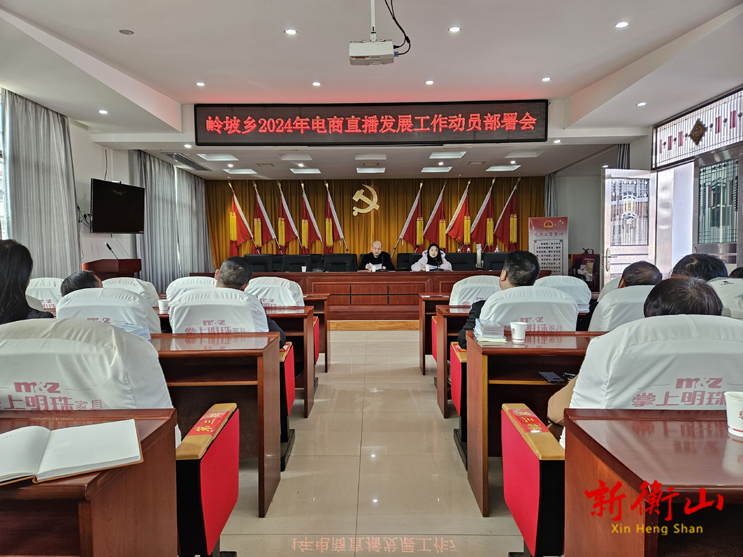 岭坡乡：2024年电商直播发展工作会议召开
