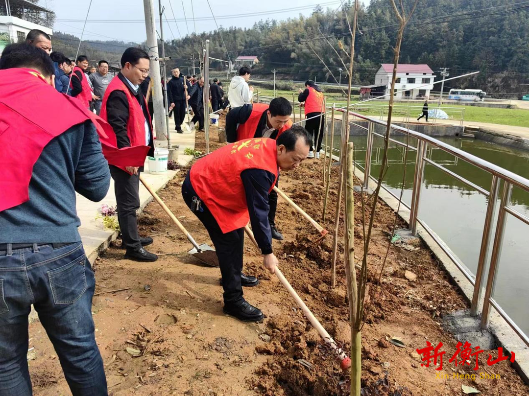 县住建局：春暖三月学雷锋 植树添绿正当时