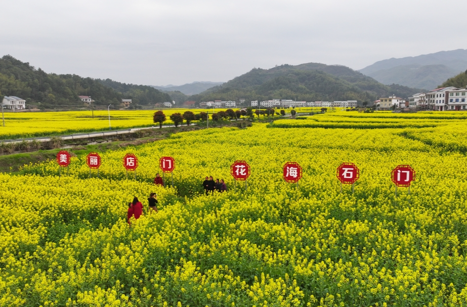 衡山：七彩油菜花为乡村旅游“添彩”
