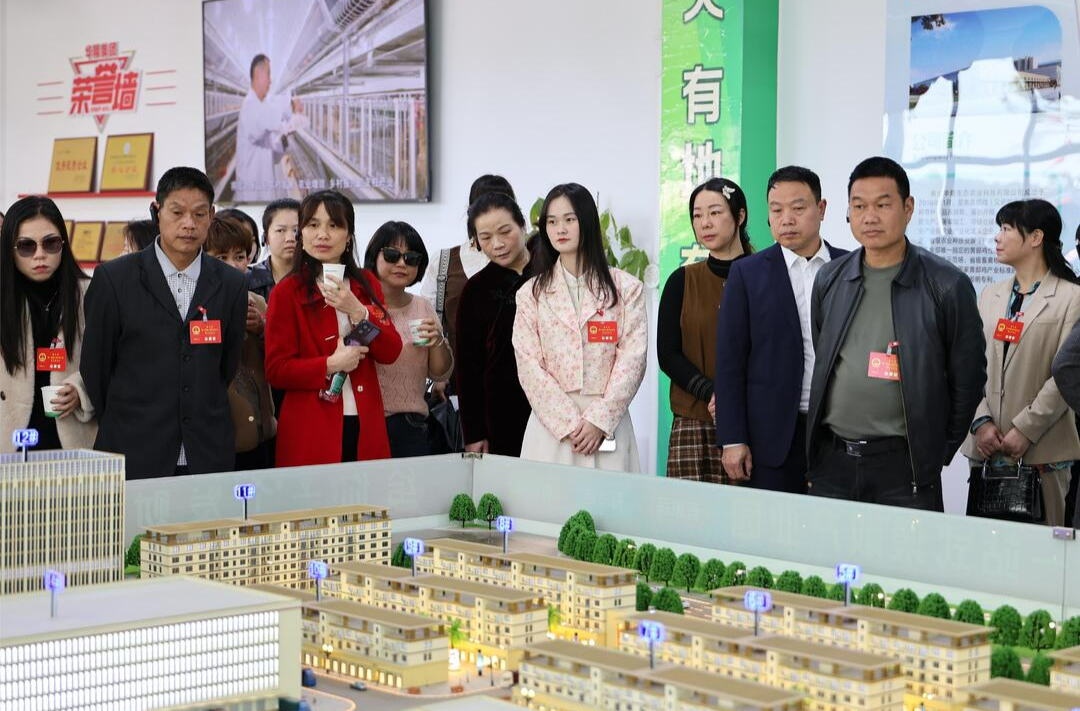县人大代表视察重点项目建设