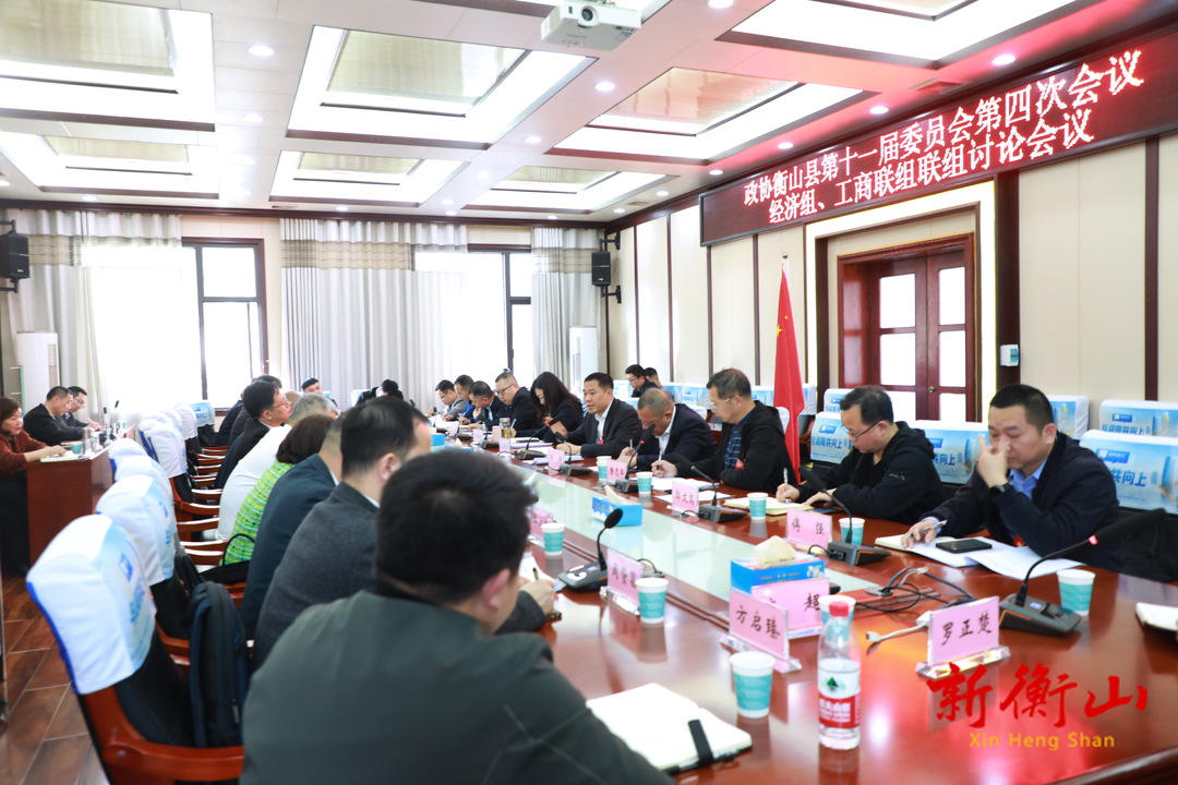 段晓赛参加经济组、工商联组联组讨论