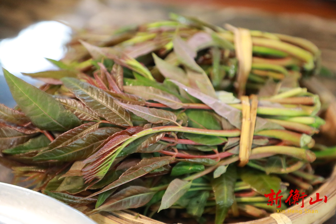 野菜登场！你最pick谁