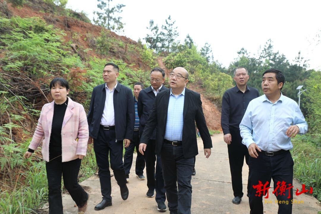黄立调研我县“中央财政油茶产业发展示范奖补项目和国土绿化试点示范项目”建设