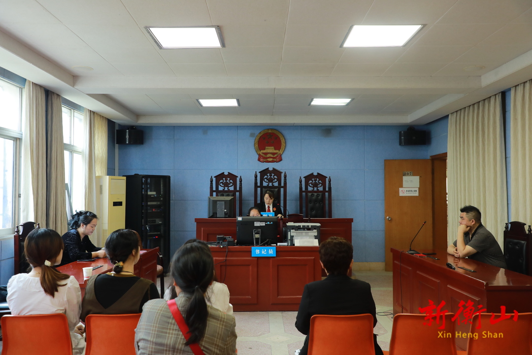 衡山法院组织开展“保护妇女儿童权益专题开放日”活动
