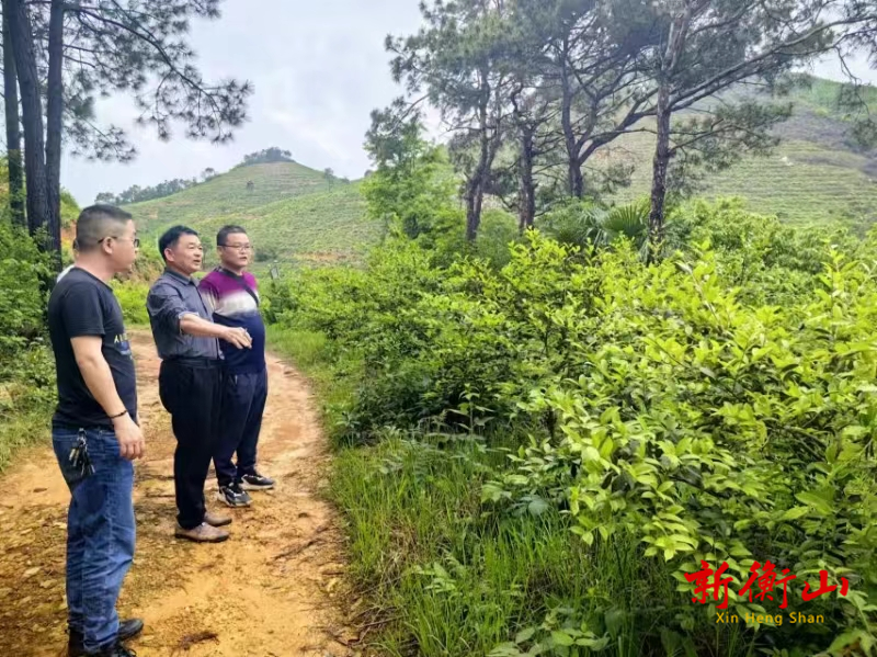 衡山县60名科技特派员奔赴乡村振兴主战场