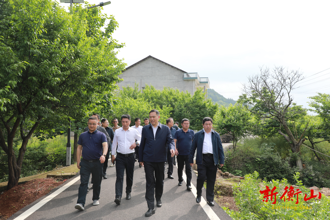 段晓赛调研督导农村人居环境整治和新能源项目建设工作