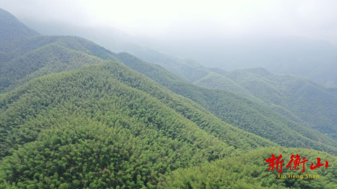 五一游玩好去处，衡山野莓谷等你来