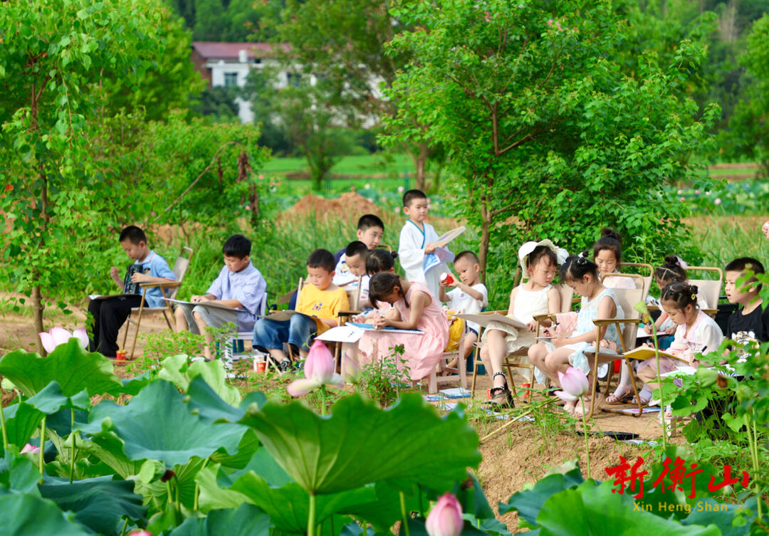 衡山：“荷”你一场初遇，便是妙笔生“花”