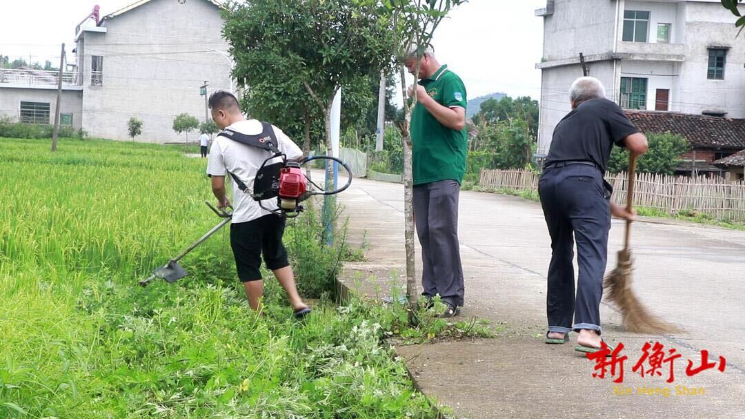新桥镇：持续加强人居环境整治 打造干净整洁美丽家园