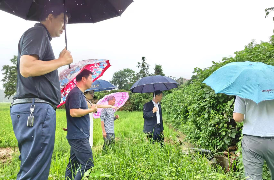 防汛一线党旗红丨衡山新桥镇：“汛”速行动 筑牢防汛安全线