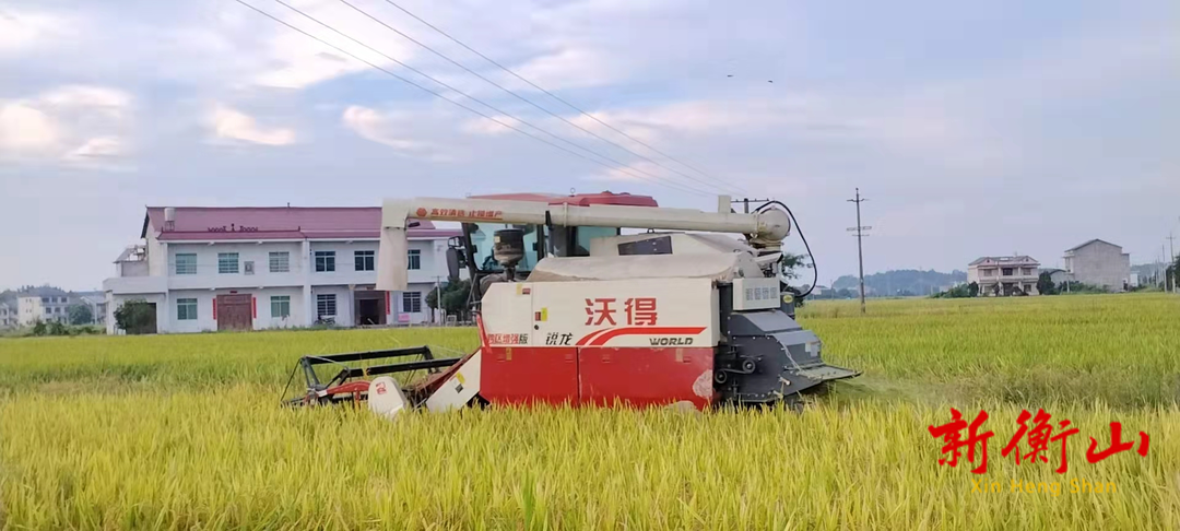 江东乡白龙社区：早稻丰收在望，种粮大户收割忙