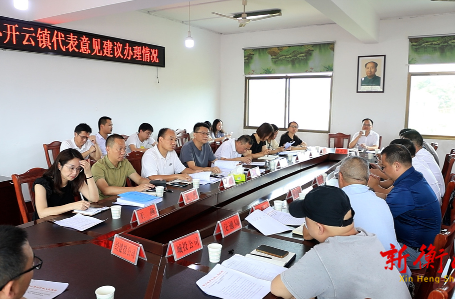 县人大常委会督办开云镇代表意见建议集中办理工作