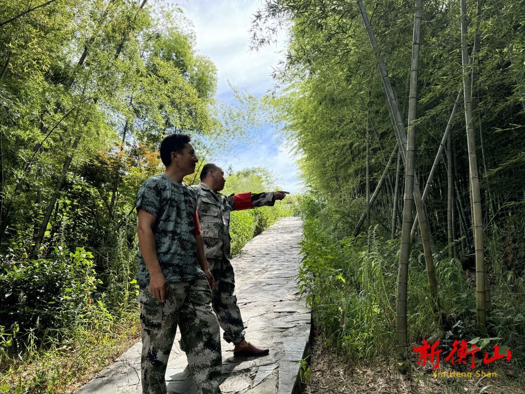 【高温下的坚守】护林员：用脚步丈量紫金山 以行动守护生态绿