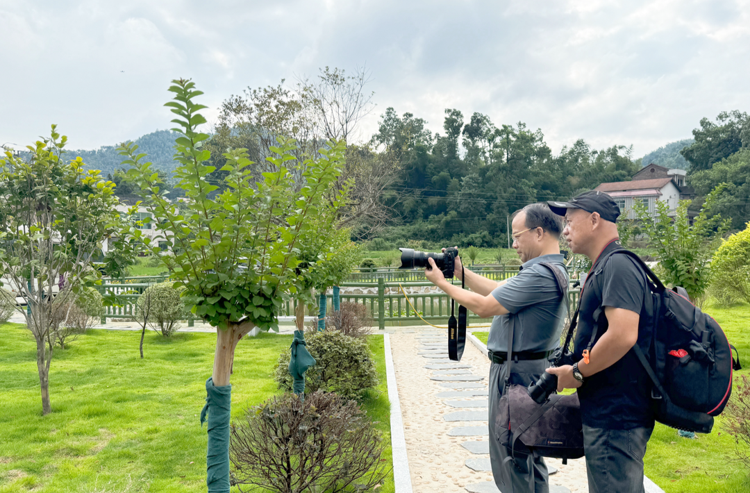 衡山县举行“寿比南山·雁鸣衡阳”迎旅发会文艺采风活动