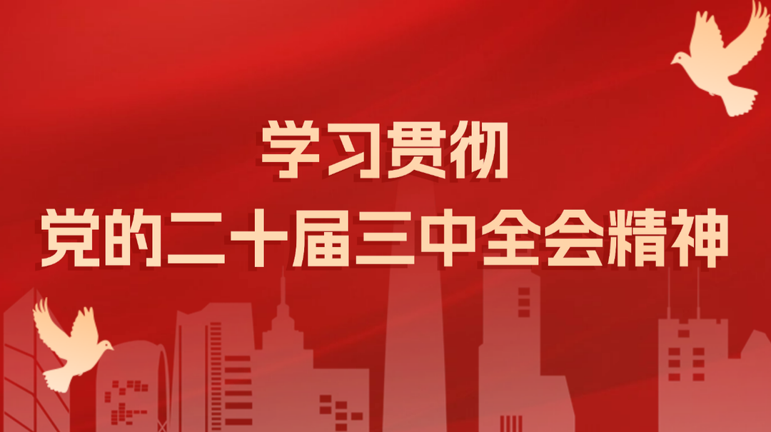 学习贯彻党的二十届三中全会精神