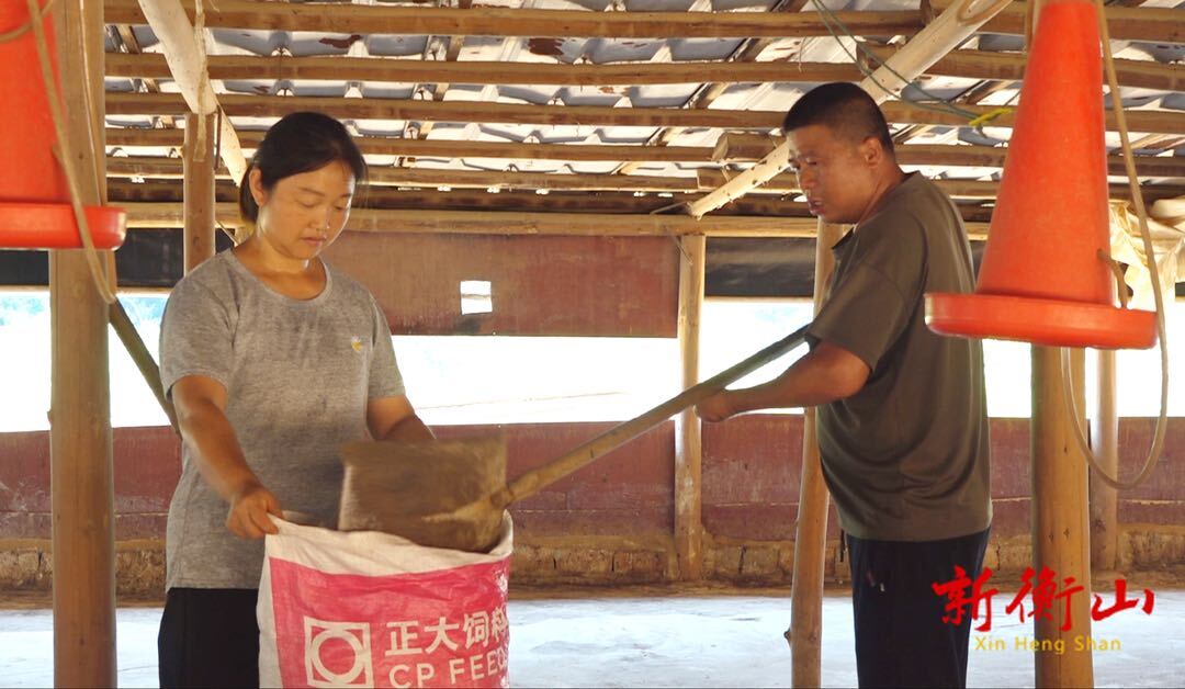 【最美退役軍人】羅建懷：身殘志堅(jiān)，退役軍人書寫不屈人生