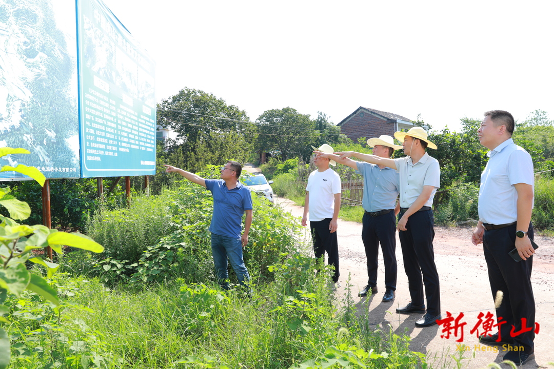 戴新賢調研重點項目建設時強調：攻堅克難將各重點項目建成建好 展示大美衡山魅力