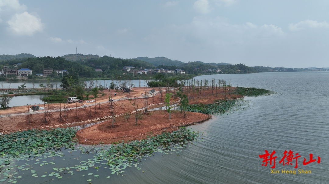 秋风送爽 萱洲国家湿地公园湿地保护和修复项目按下“快进键”