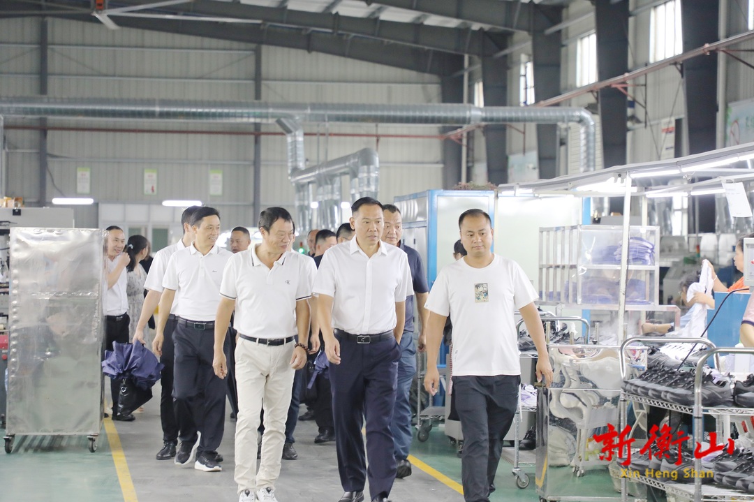 段晓赛调研“两重”“两新”送解优专项行动