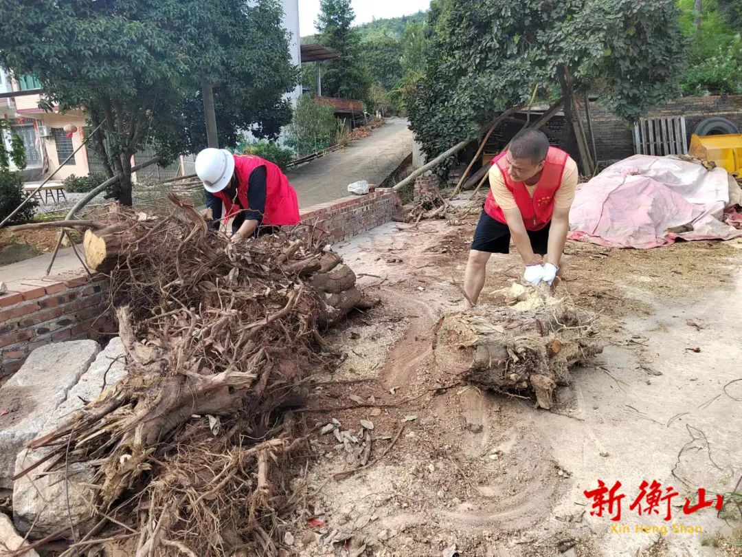 店门镇持续推进人居环境整治工作
