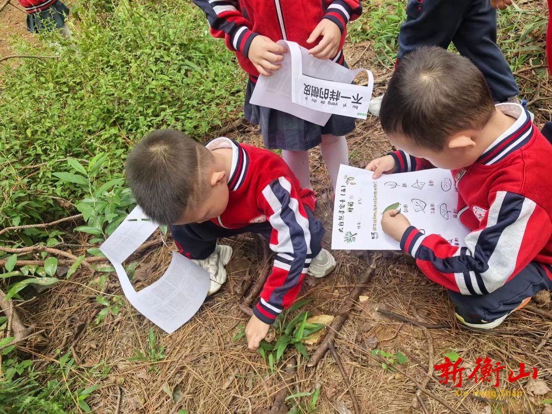 童心感受自然  共享科普教育——衡山县文峰幼儿园全国科普日“大自然寻宝”活动