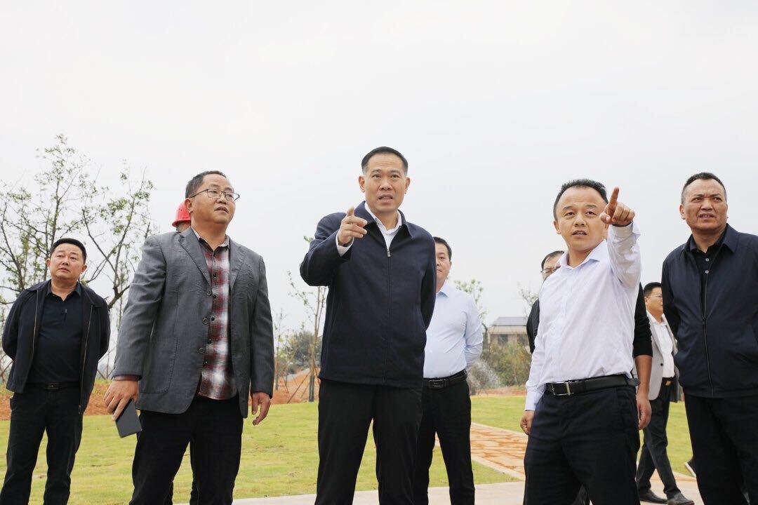 段晓赛调研重点项目建设