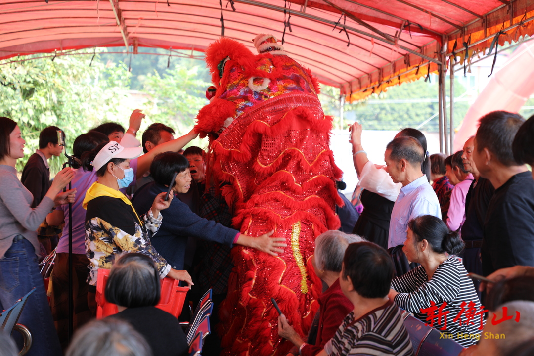 【我们的节日·重阳】江东乡三桥村：村民齐上阵 欢乐度重阳
