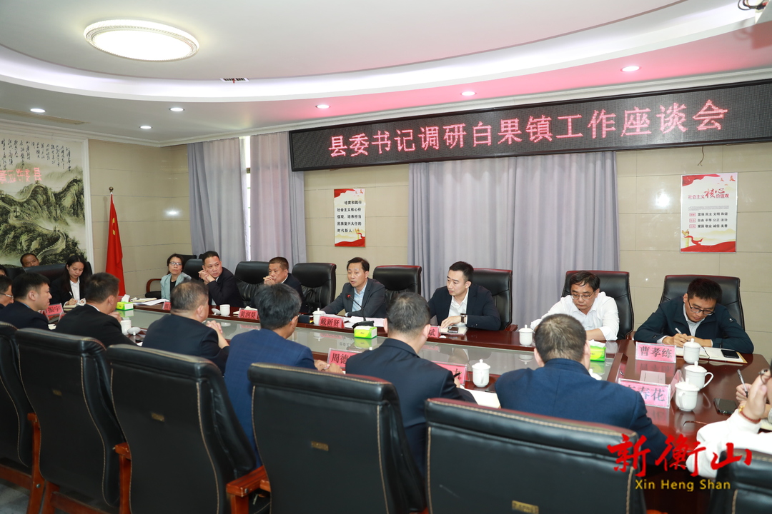 戴新贤调研白果镇经济社会发展工作