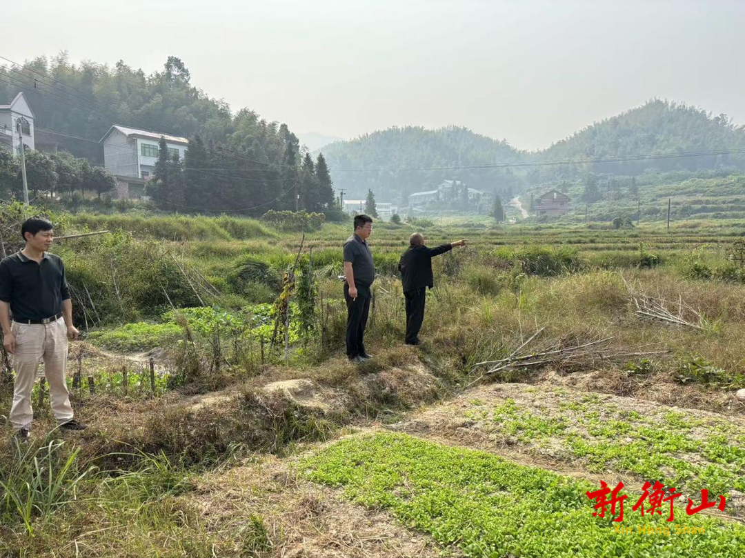 东湖镇：全力推进撂荒耕地整改，油菜花开待那时