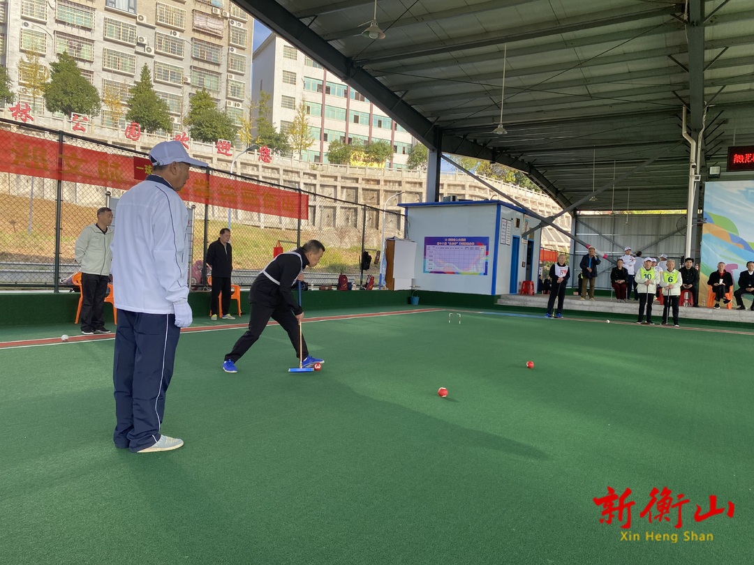 2024年衡阳市人大系统第十二届“永乐杯”门球赛圆满闭幕